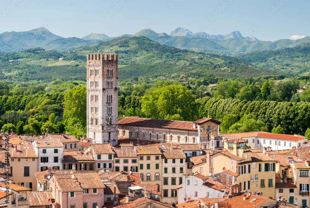 Aerial view of Lucca, in Tuscany, during a sunny afternoon; the bell tower belongs to the San Frediano church - obrazy, fototapety, plakaty 