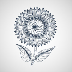 Sticker - Sunflower Vector hand drawn