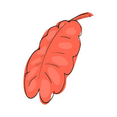 Wall Mural - red oak leaf icon in cartoon style isolated on white background. plants symbol