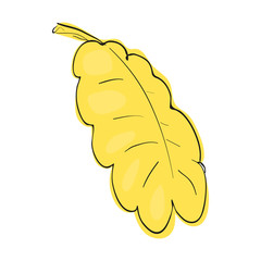 Wall Mural - yellow oak leaf icon in cartoon style isolated on white background. plants symbol