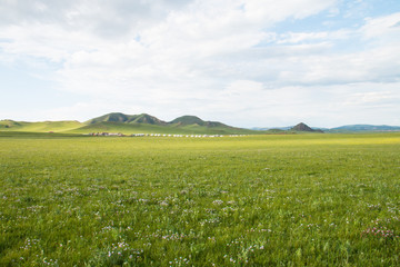 China Inner Mongolia natural grassland