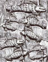 Many Black And White Fishes, Fish Pattern Drawing