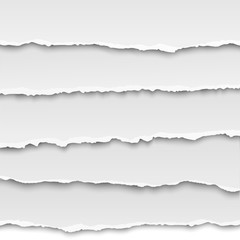 Wall Mural - Oblong layers of torn paper