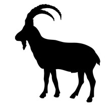 Siberian Goat Mountain Silhouette Black