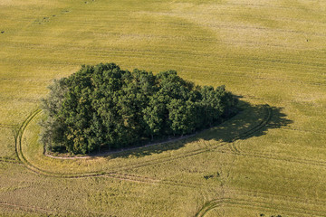 aerial view of the  harvest field