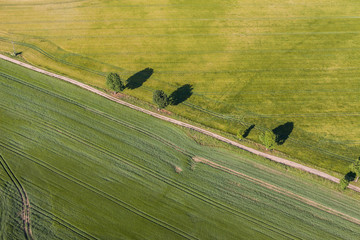 aerial view of the  harvest fields