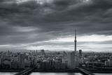 Fototapeta  - Tokyo city view with Tokyo sky tree landmark..