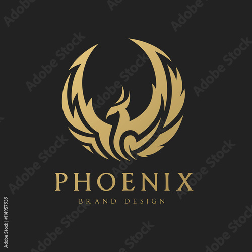 Phoenix Logo Eagle Logo Brand Identity White Bird And Wing Concept Stock Vector Adobe Stock