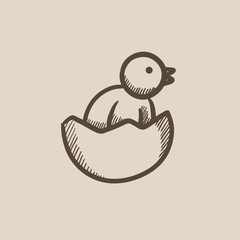 Wall Mural - Chick peeking out of egg shell sketch icon.