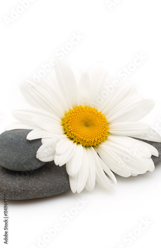 czarne-gladkie-kamienie-i-bialy-kwiat-motyw-do-spa