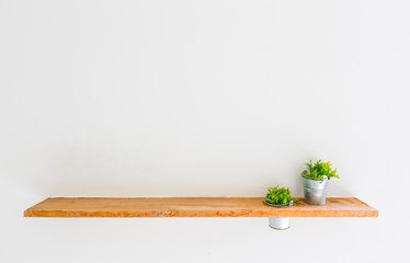 Wooden shelf on white wall with green plant.