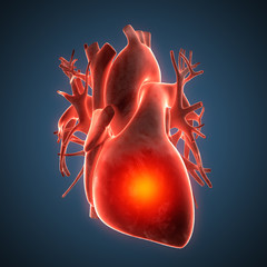 heart human disease illustration