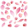 © Premium_art - Texture from petals of rose, sakura and lotus isolated on white background
