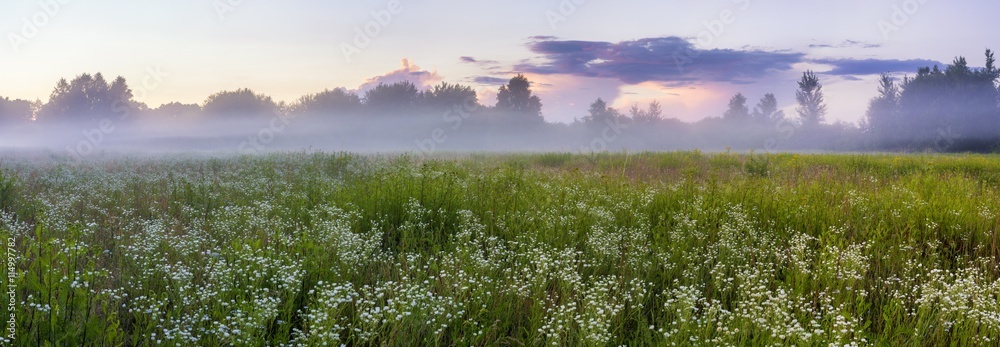 Obraz na płótnie Kwiaty polne na łące nad którą unoszą się poranne mgły w salonie