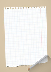 Poster - Ripped white grid notebook paper sheet are on brown background with gray wooden pencil