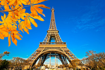 Wall Mural - Eiffel tower at sunrise, Paris.