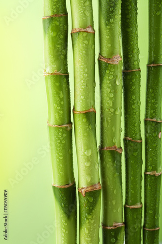 Fototapeta na wymiar green bamboo background with water drops