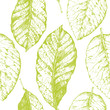 Seamless with leaves pattern on white background. 