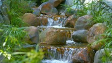 Video UltraHD - Water Cascades Peacefully Down A Multilevel, Manmade, Garden Waterfall, With Big Boulders And Natural Plants Flanking The Stream On Either Side.