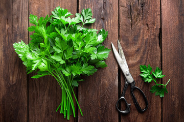 Canvas Print - parsley