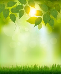 Poster - Summer nature background with green leaves. Vector.