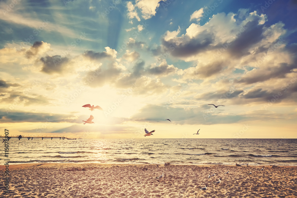 Retro toned beach at sunset with flying birds. - obrazy, fototapety, plakaty 