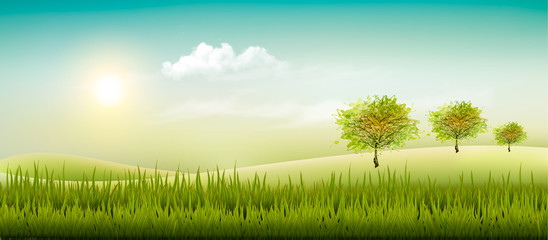 Poster - Beautiful summer countryside landscape background. Vector.