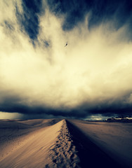 Wall Mural - desert