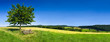 canvas print picture - Grüne Landschaft im Sommer als Hintergrund