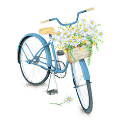 Watercolor hand drawn blue bicycle with beautiful flower basket. Illustration isolated on white background