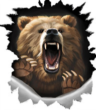 Angry Shout Bear On White Background. Beast Claws Tearing Metal