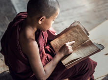 Young Buddhist Novice Monk Reading And Study In Monastery, Myanmar
