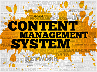 Poster - CMS - Content Management System word cloud collage, business concept background
