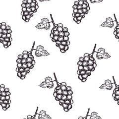 Grape seamless pattern. Hand drawn