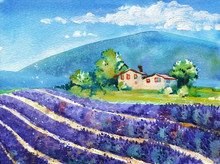 Beautiful Blooming Lavender Fields With House In Distance