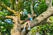 Little boy sitting on  branch of big tree and reading book. Selective focus