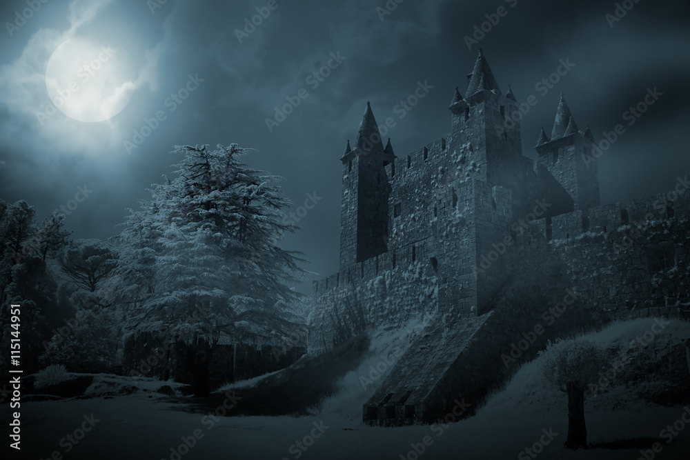 Medieval castle at night - obrazy, fototapety, plakaty 
