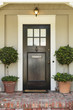 Front door, front view of a black front door with a mail slot and two plants