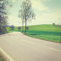 Canvas Print - Asphalt Road