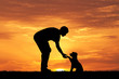 © adrenalinapura - man with puppy at sunset