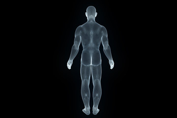 Wall Mural - Male Human 3D Wireframe Hologram in Motion. Nice 3D Rendering
