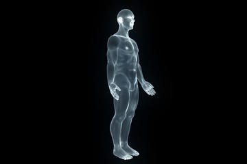 Wall Mural - Male Human 3D Wireframe Hologram in Motion. Nice 3D Rendering
