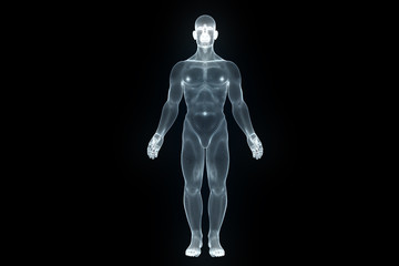Wall Mural - Male Human 3D Wireframe Hologram in Motion. Nice 3D Rendering
