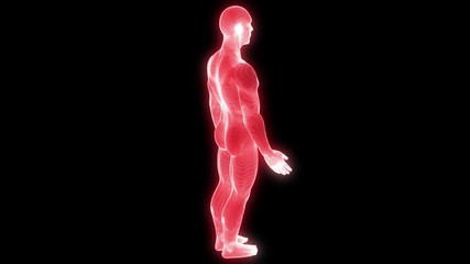 Wall Mural - Male Human 3D Wireframe Hologram in Motion. Nice 3D Rendering
