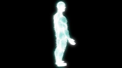 Wall Mural - Male Human 3D Wireframe Hologram in Motion. Nice 3D Rendering
