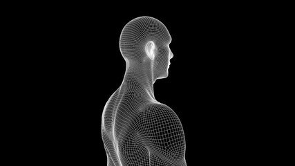 Wall Mural - Male Human 3D Wireframe Hologram in Motion. Nice 3D Rendering
