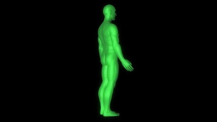 Wall Mural - Male Human 3D Wireframe Hologram in Motion. Nice 3D Rendering
