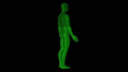 Wall Mural - Male Human 3D Wireframe Hologram in Motion. Nice 3D Rendering

