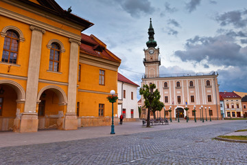 Wall Mural - Town hall and the main square in the town of Kezmarok, Slovakia.