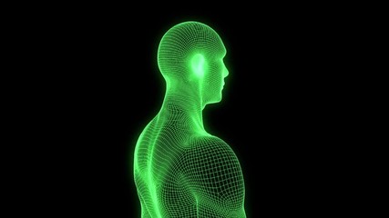 Wall Mural - Male Human 3D Wireframe Hologram in Motion. Nice 3D Rendering
